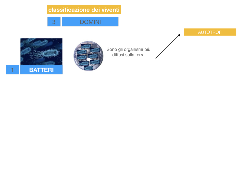domini_regni_biodiversità_SIMULAZIONE.005