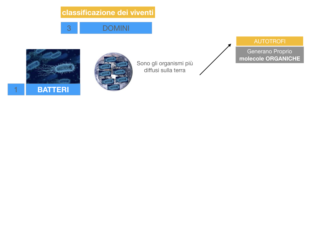 domini_regni_biodiversità_SIMULAZIONE.006