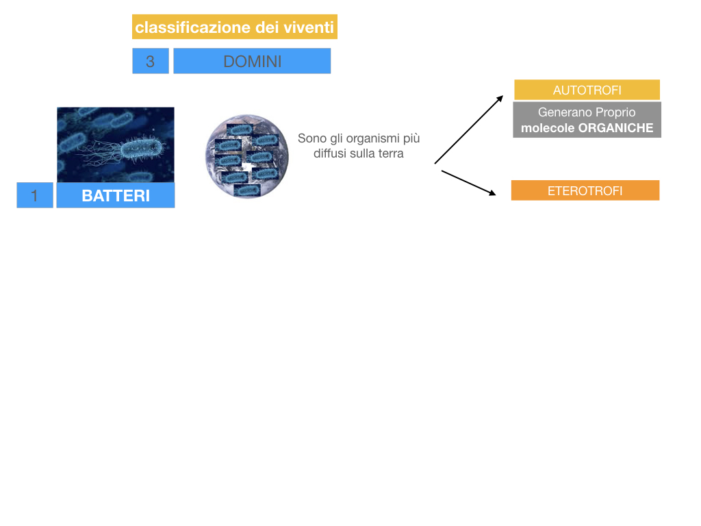 domini_regni_biodiversità_SIMULAZIONE.007