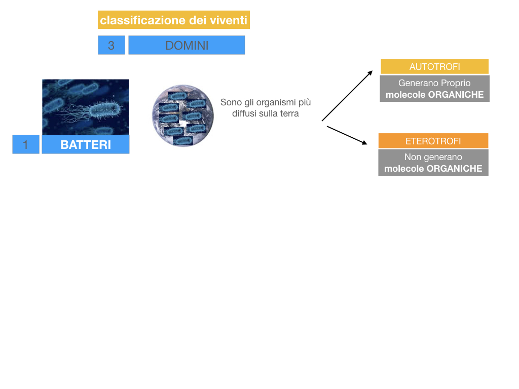 domini_regni_biodiversità_SIMULAZIONE.008