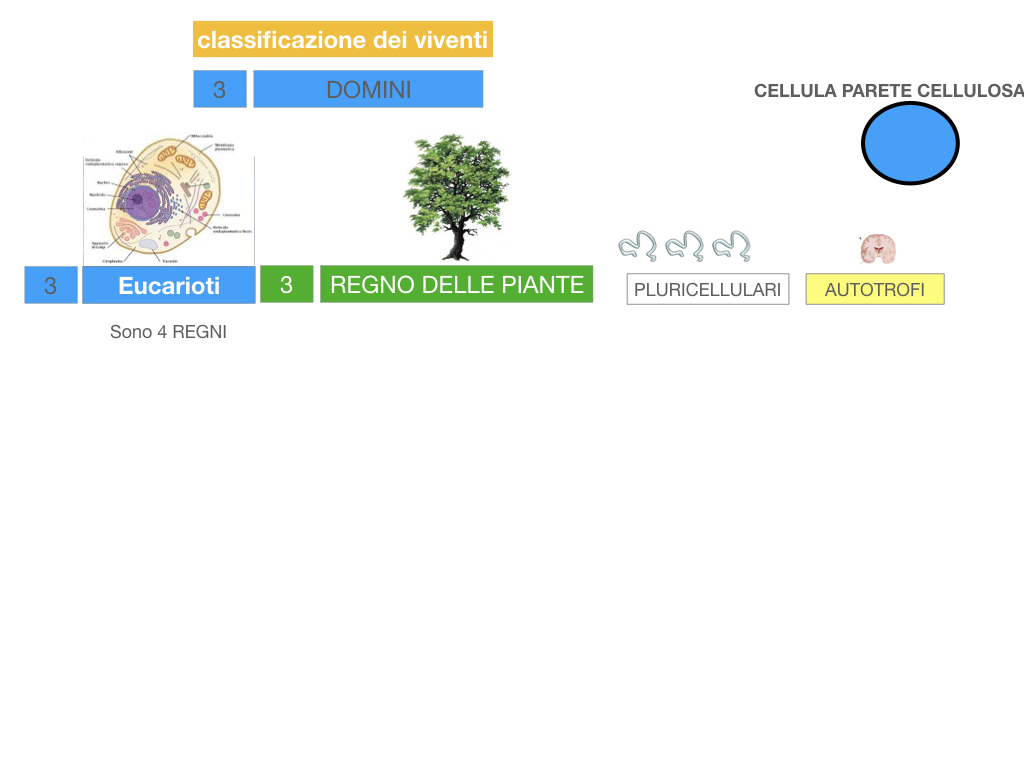 domini_regni_biodiversità_SIMULAZIONE.040