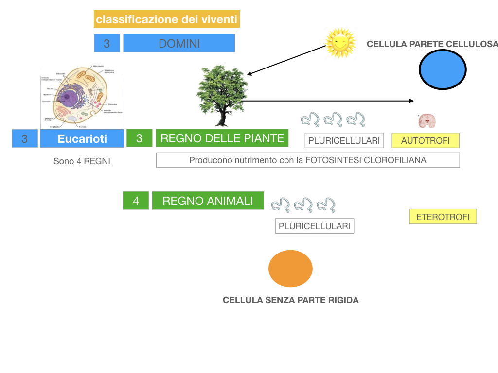 domini_regni_biodiversità_SIMULAZIONE.045