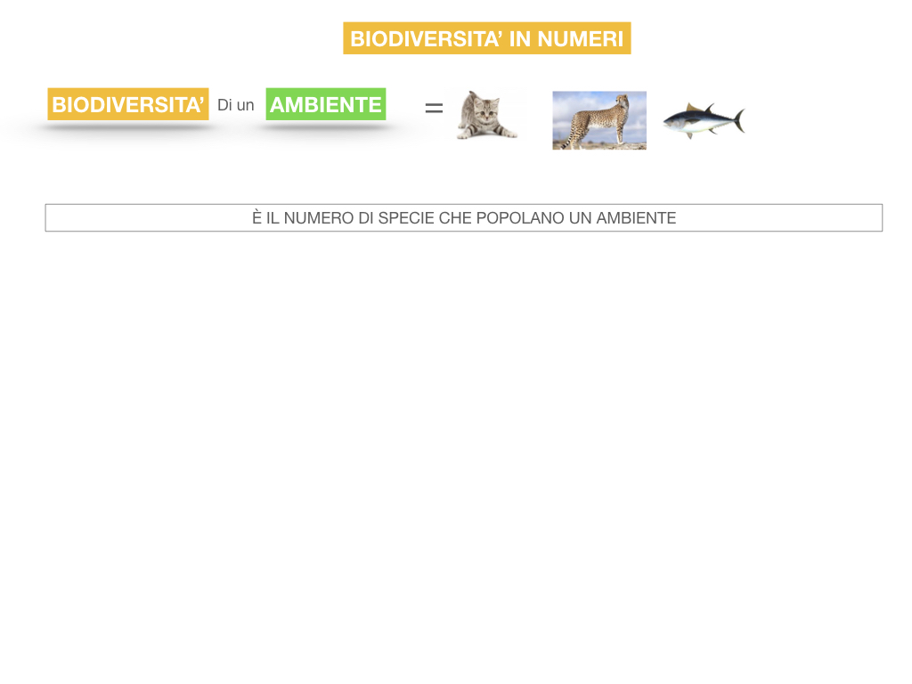 domini_regni_biodiversità_SIMULAZIONE.053