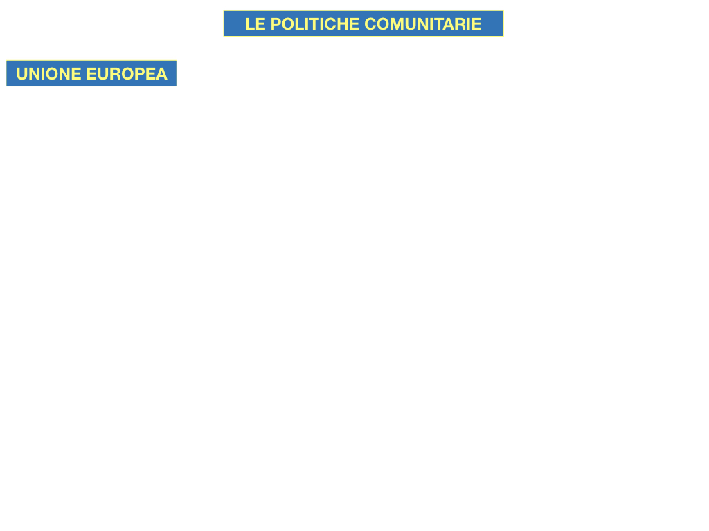 4. LE POLITICHE COMUNITARIE_SIMULAZIONE.045