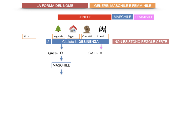 7.1.GRAMMATICA_NOMI_FORMA_GENERE_SIMULAZIONE.033