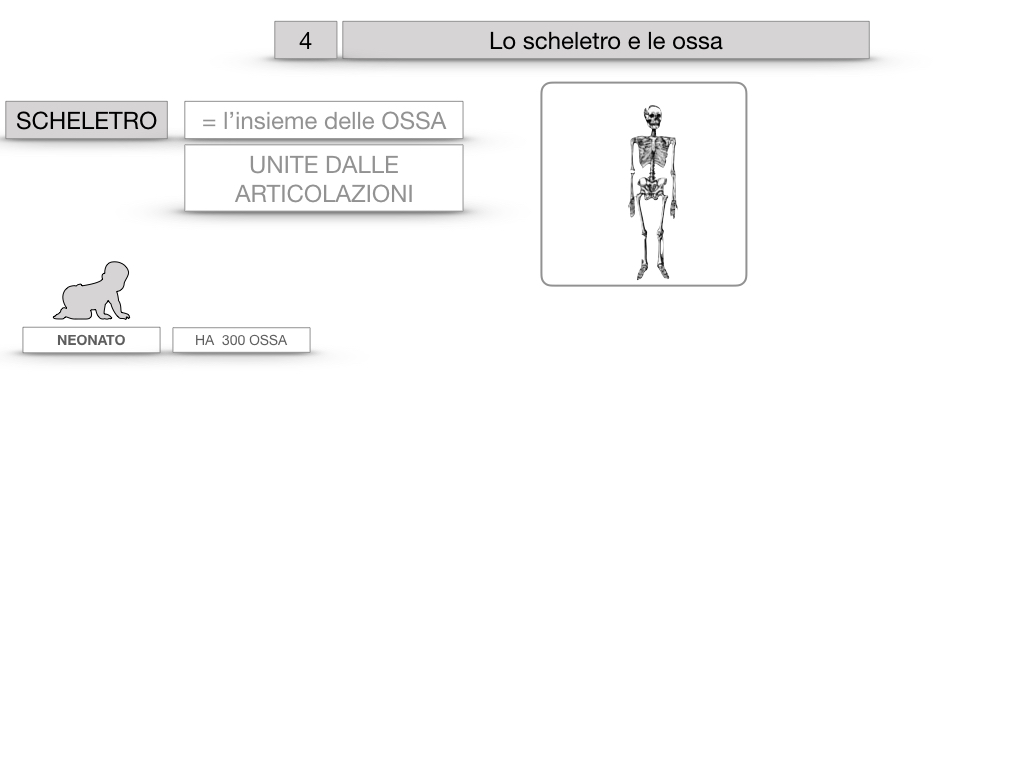 4. SCIENZE_LO SCHELETRO E LE OSSA_SIMULAZIONE.006