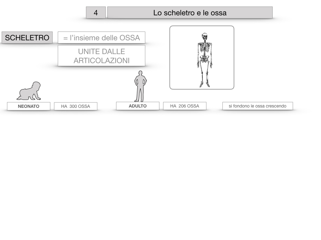 4. SCIENZE_LO SCHELETRO E LE OSSA_SIMULAZIONE.008