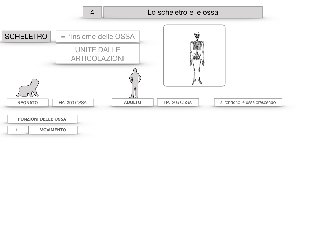 4. SCIENZE_LO SCHELETRO E LE OSSA_SIMULAZIONE.010