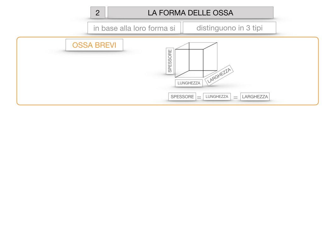 5. SCIENZE_COMPOSIZIONE E FORMA DELLE OSSA_SIMULAZIONE.058