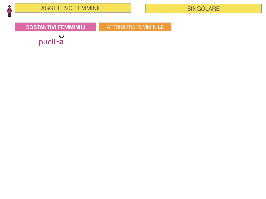 5. AGGETTIVO FEMMINILE PRIMA CLASSE_SIMULAZIONE.016