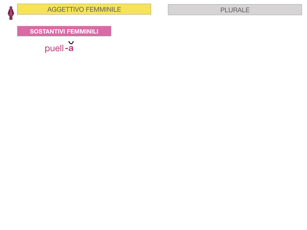 5. AGGETTIVO FEMMINILE PRIMA CLASSE_SIMULAZIONE.053