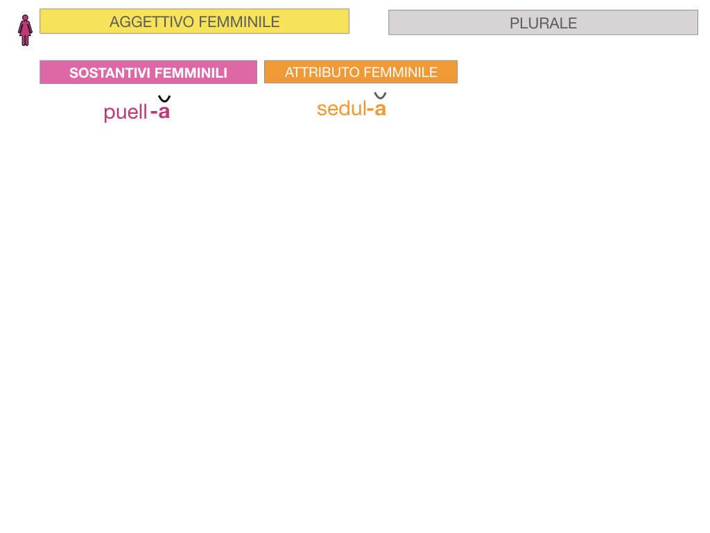 5. AGGETTIVO FEMMINILE PRIMA CLASSE_SIMULAZIONE.054