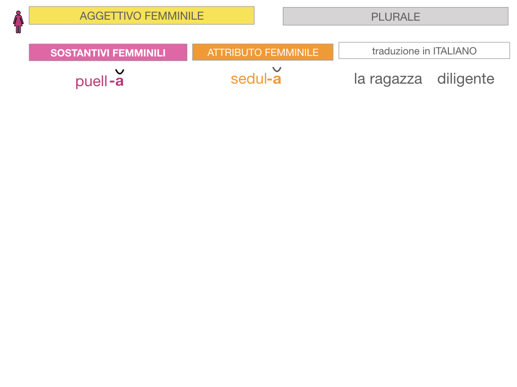5. AGGETTIVO FEMMINILE PRIMA CLASSE_SIMULAZIONE.057