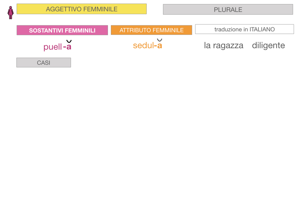 5. AGGETTIVO FEMMINILE PRIMA CLASSE_SIMULAZIONE.058