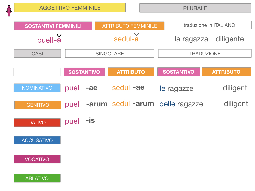 5. AGGETTIVO FEMMINILE PRIMA CLASSE_SIMULAZIONE.072