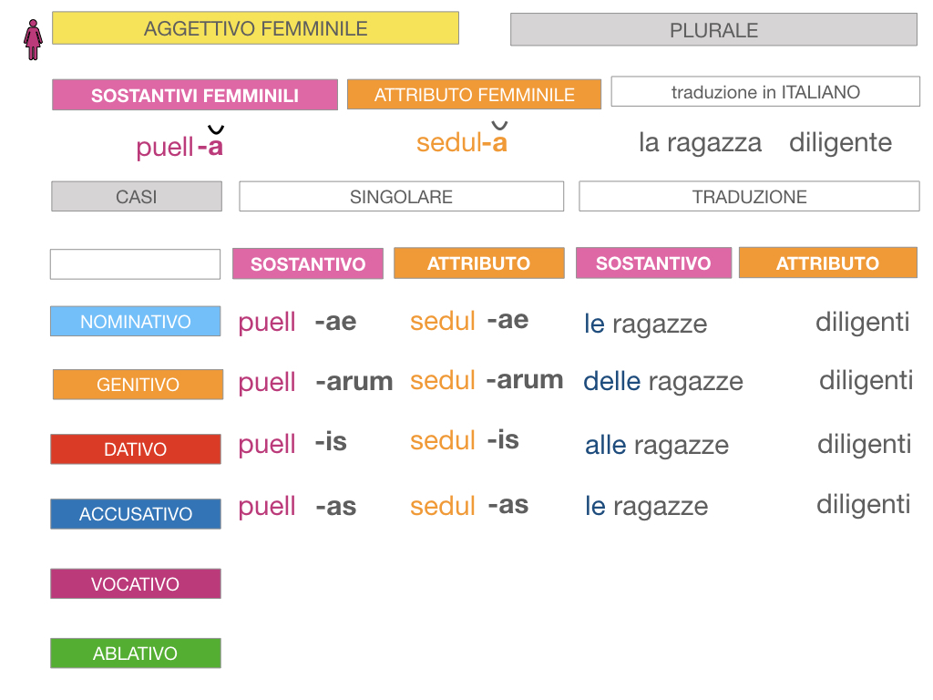 5. AGGETTIVO FEMMINILE PRIMA CLASSE_SIMULAZIONE.079