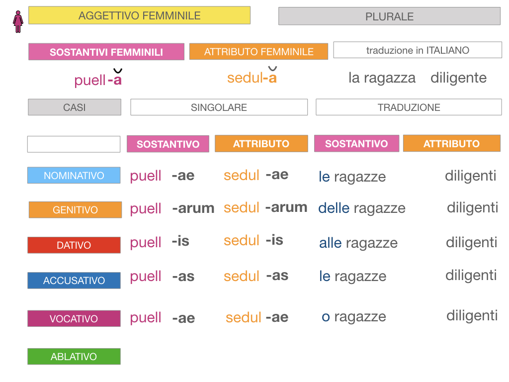 5. AGGETTIVO FEMMINILE PRIMA CLASSE_SIMULAZIONE.083