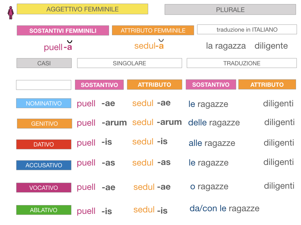 5. AGGETTIVO FEMMINILE PRIMA CLASSE_SIMULAZIONE.086