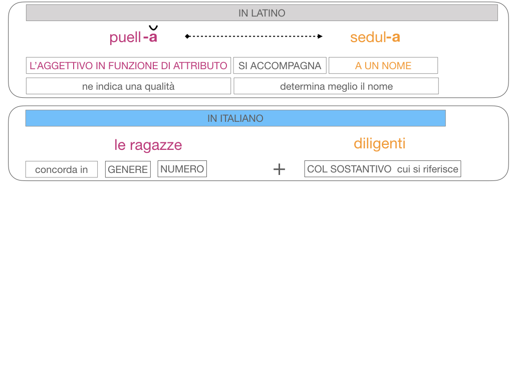 5. AGGETTIVO FEMMINILE PRIMA CLASSE_SIMULAZIONE.101