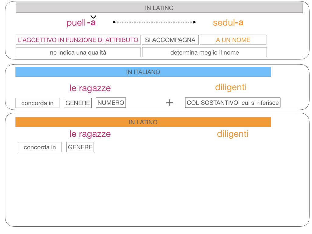 5. AGGETTIVO FEMMINILE PRIMA CLASSE_SIMULAZIONE.105