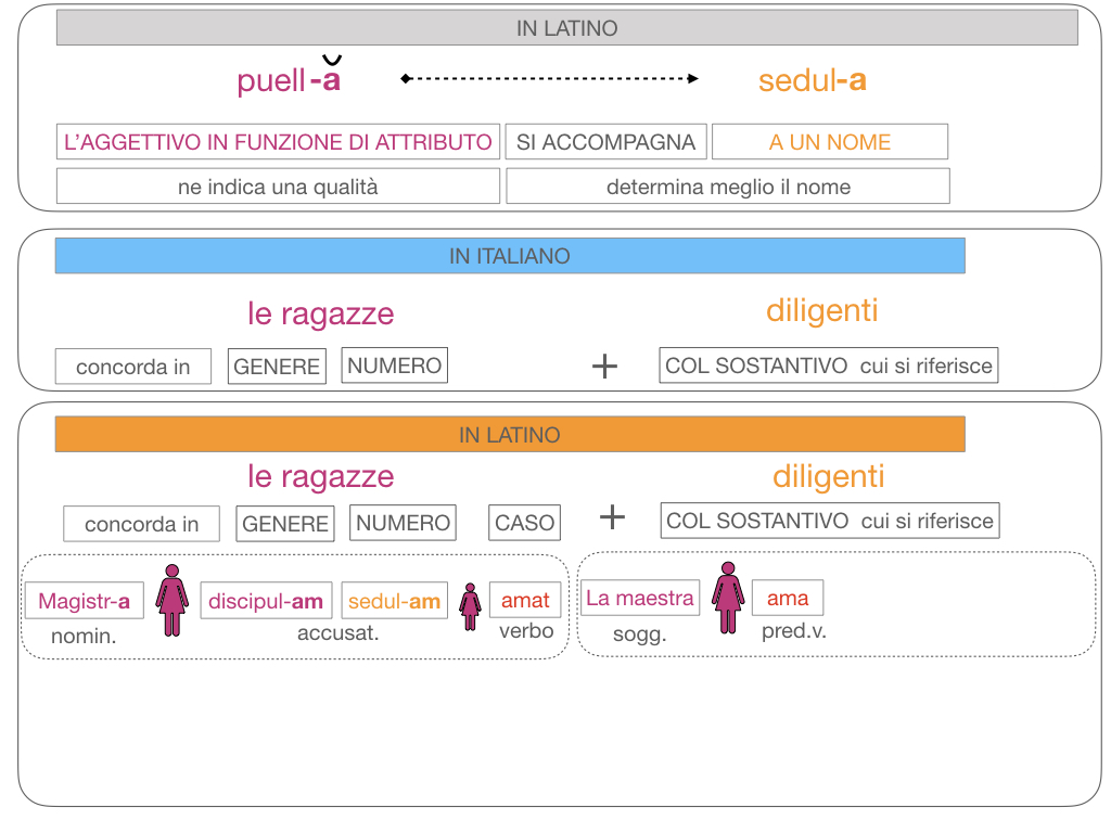 5. AGGETTIVO FEMMINILE PRIMA CLASSE_SIMULAZIONE.117