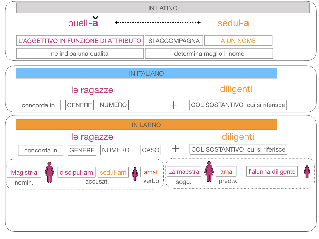 5. AGGETTIVO FEMMINILE PRIMA CLASSE_SIMULAZIONE.118