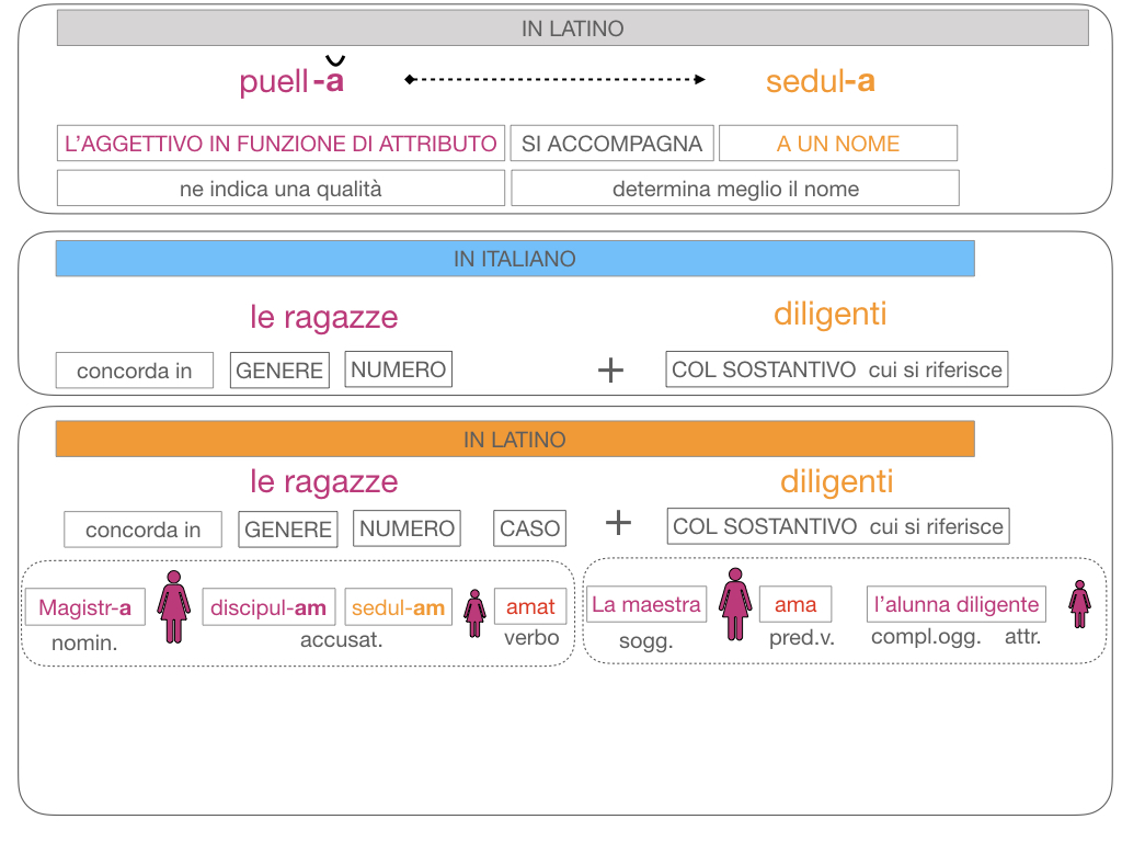 5. AGGETTIVO FEMMINILE PRIMA CLASSE_SIMULAZIONE.120