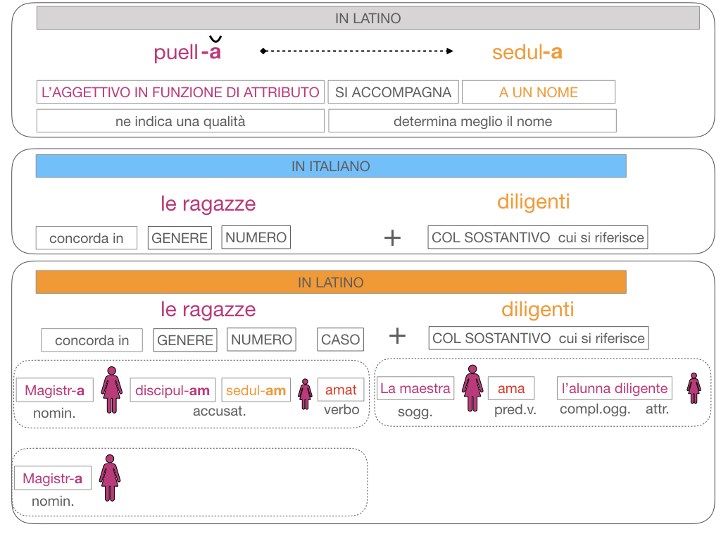 5. AGGETTIVO FEMMINILE PRIMA CLASSE_SIMULAZIONE.121