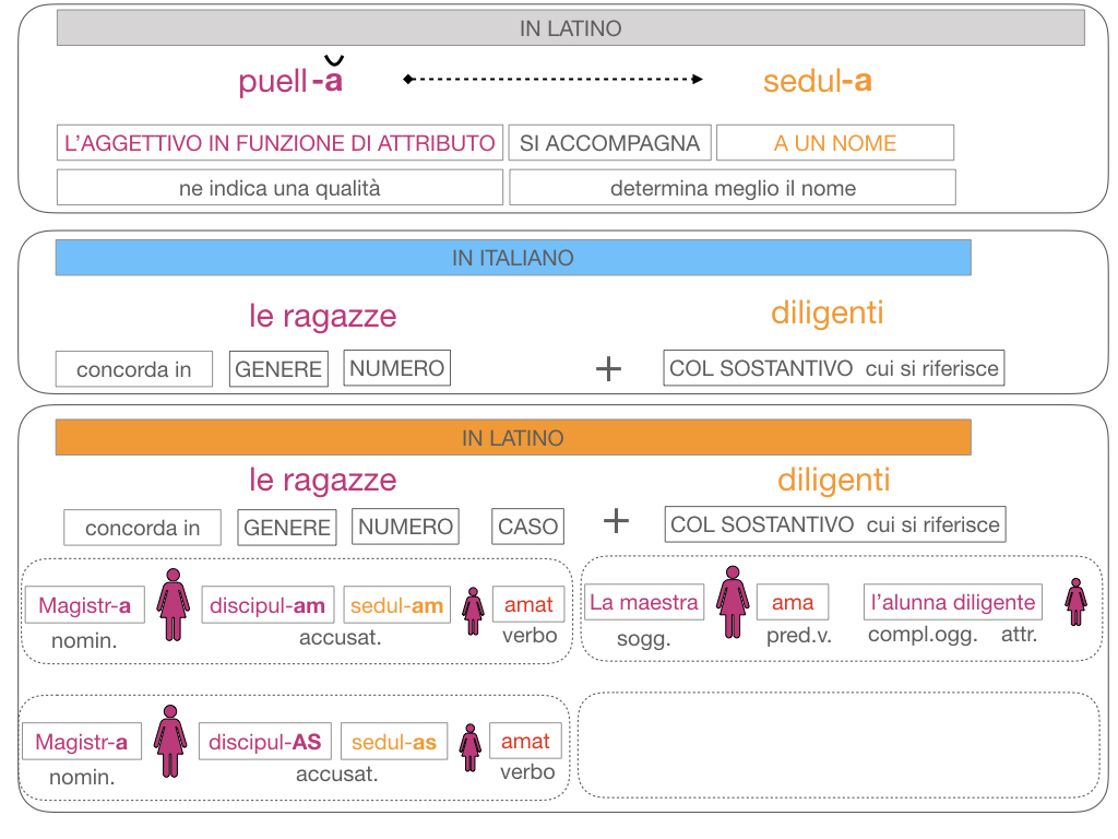 5. AGGETTIVO FEMMINILE PRIMA CLASSE_SIMULAZIONE.124