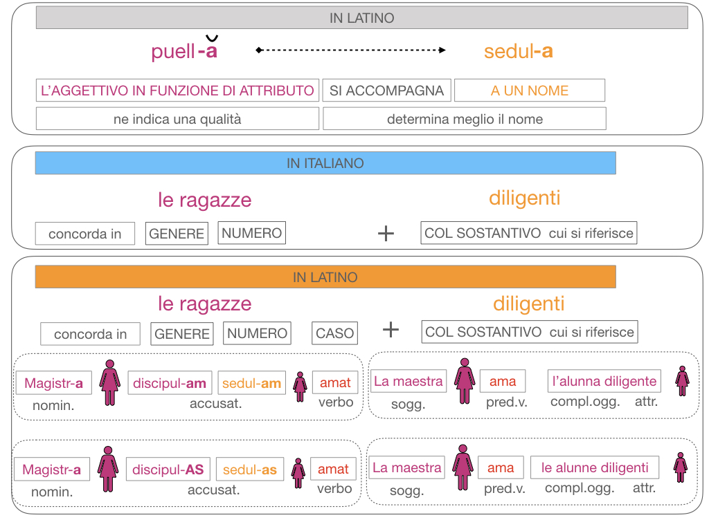 5. AGGETTIVO FEMMINILE PRIMA CLASSE_SIMULAZIONE.127