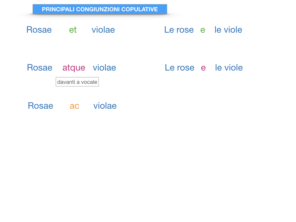 6. INDICATIVO PRESENTE VERBO SUM_PREDICATO VERBALE E NOMINALE_SIMULAZIONE.207